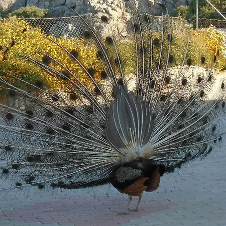 Hotel apartamentowy Lindos Nest Pefki
